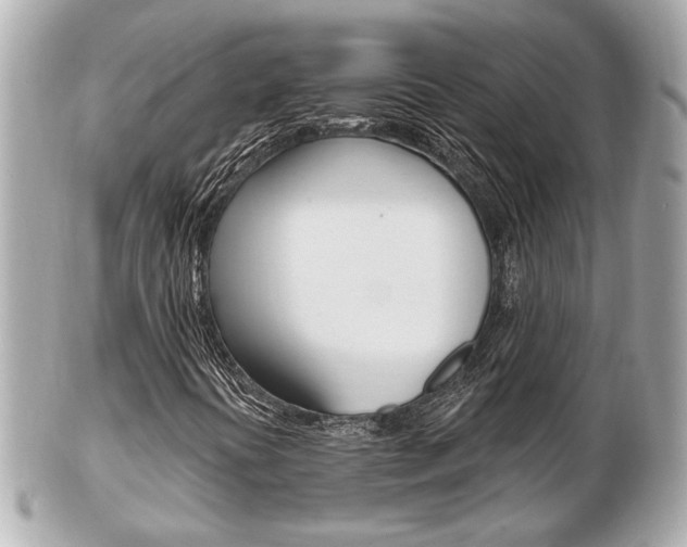 X0000103281394200808291035