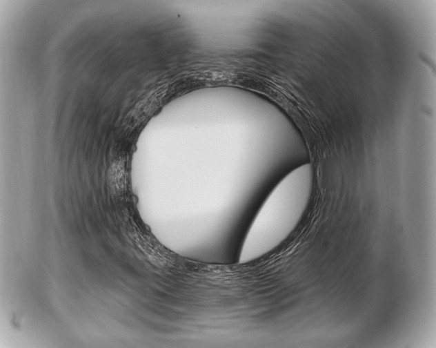 X0000103281395200808291035