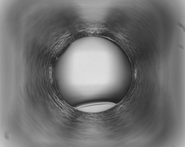 X0000103281396200808291035