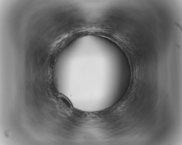 X0000103281398200808291035