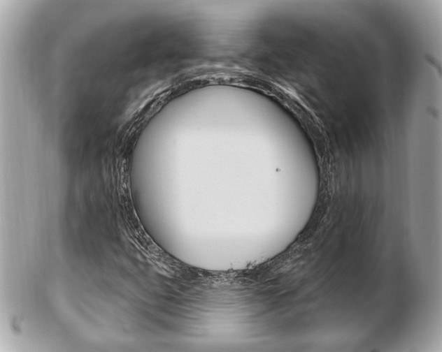 X0000103281399200808291035