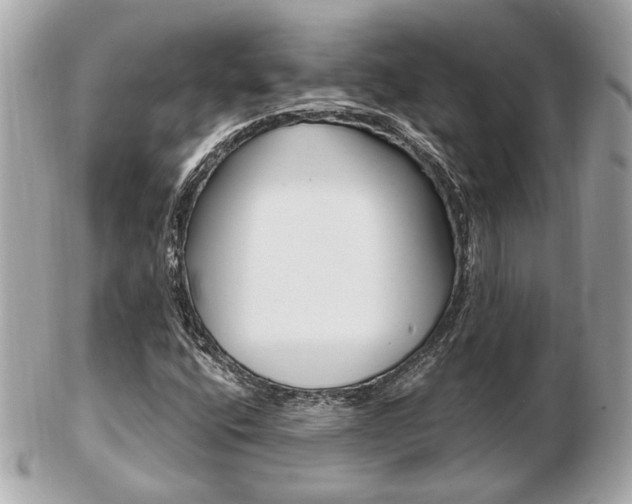 X0000103281400200808291035