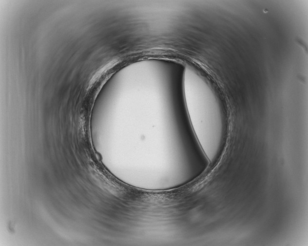 X0000103281402200808291035