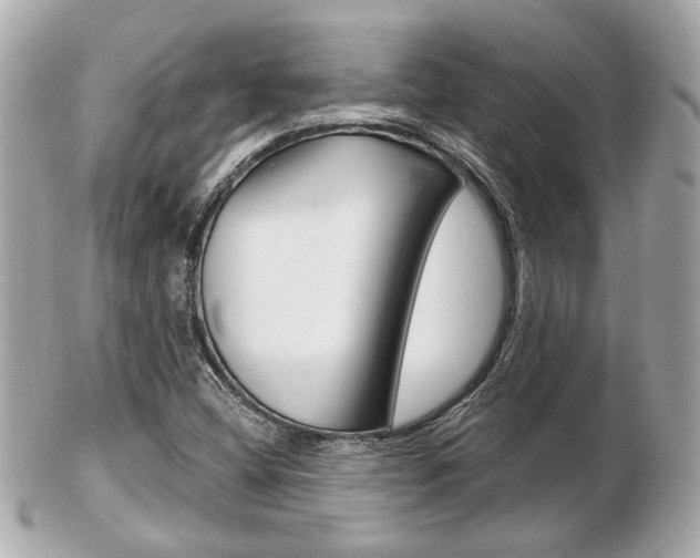 X0000103281404200808291035