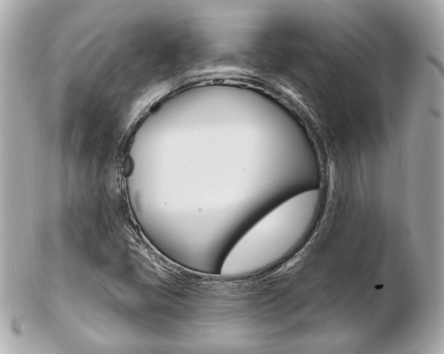 X0000103281405200808291035