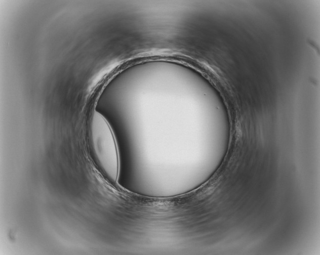 X0000103281406200808291035