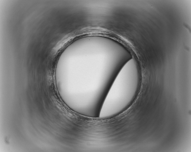 X0000103281407200808291035