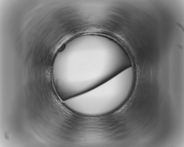 X0000103281409200808291035