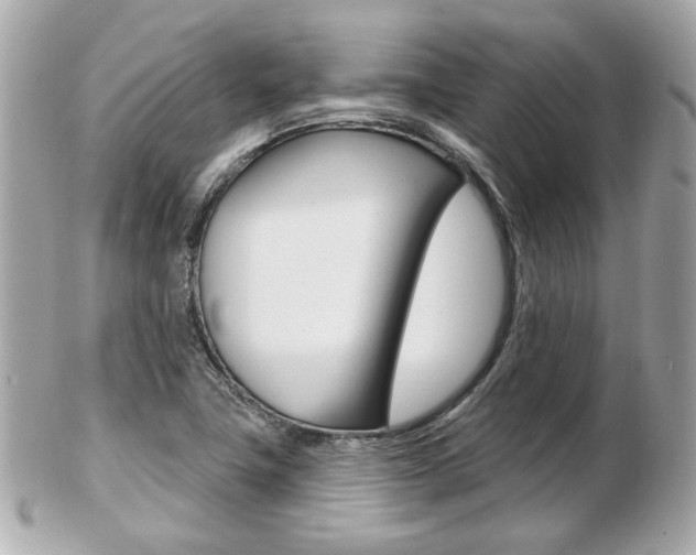 X0000103281411200808291035