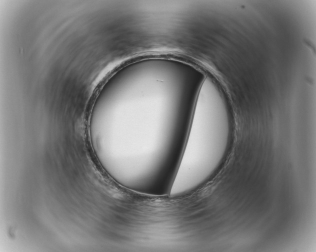 X0000103281412200808291035