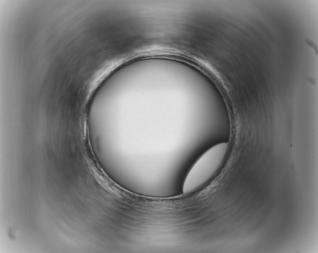 X0000103281413200808291035