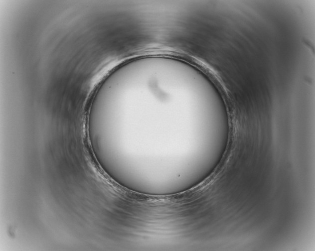 X0000103281415200808291035