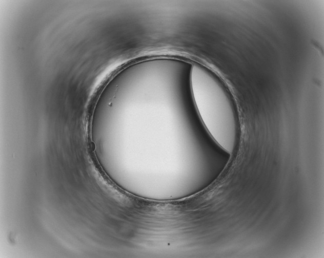 X0000103281416200808291035