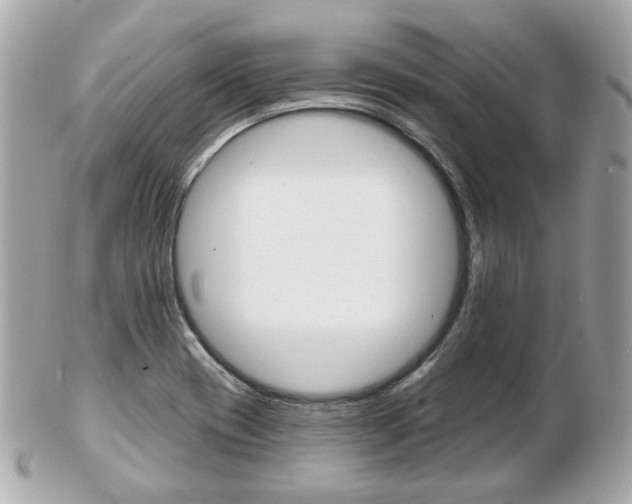 X0000103281417200808291035