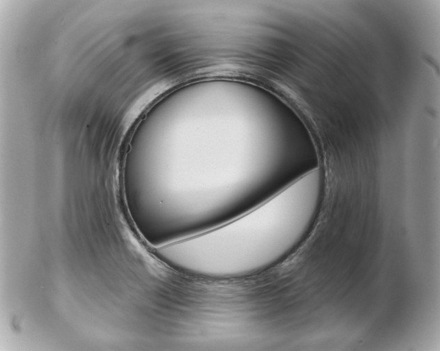 X0000103281418200808291035