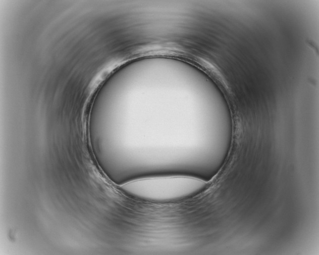 X0000103281419200808291035