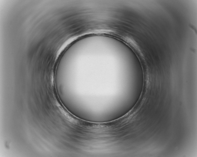 X0000103281420200808291035