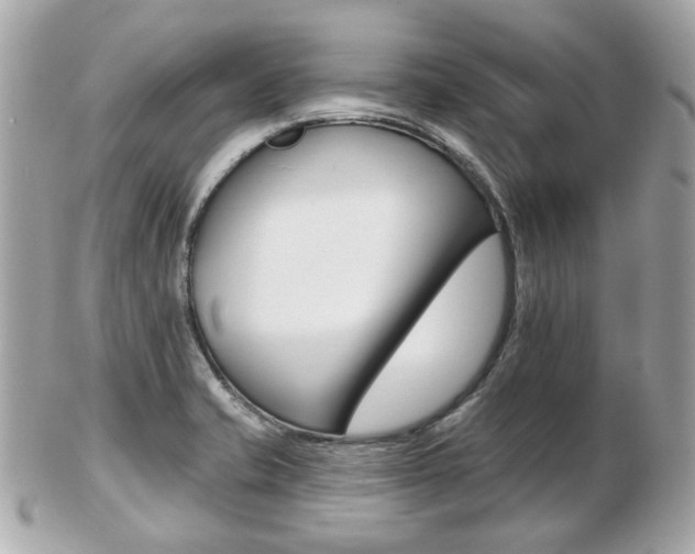 X0000103281421200808291035