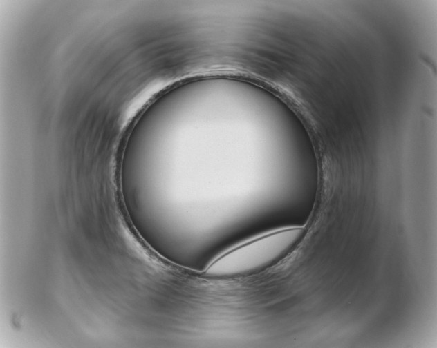 X0000103281422200808291035