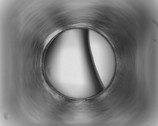 X0000103281426200808291035