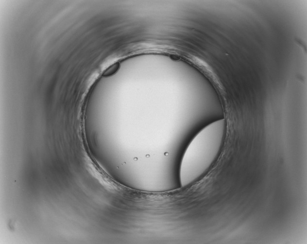 X0000103281427200808291035