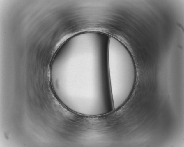 X0000103281428200808291036