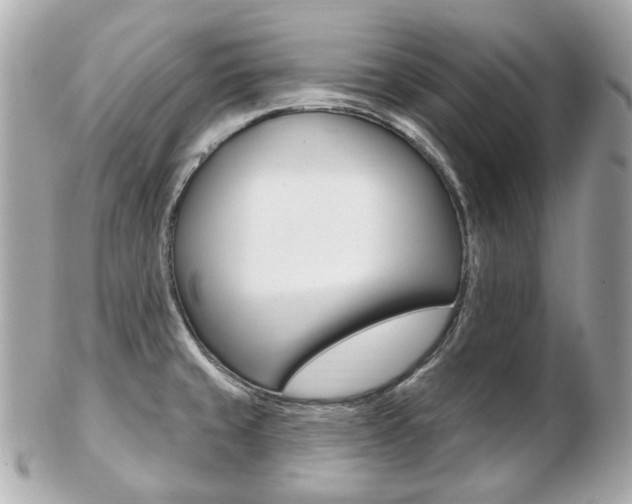 X0000103281429200808291036
