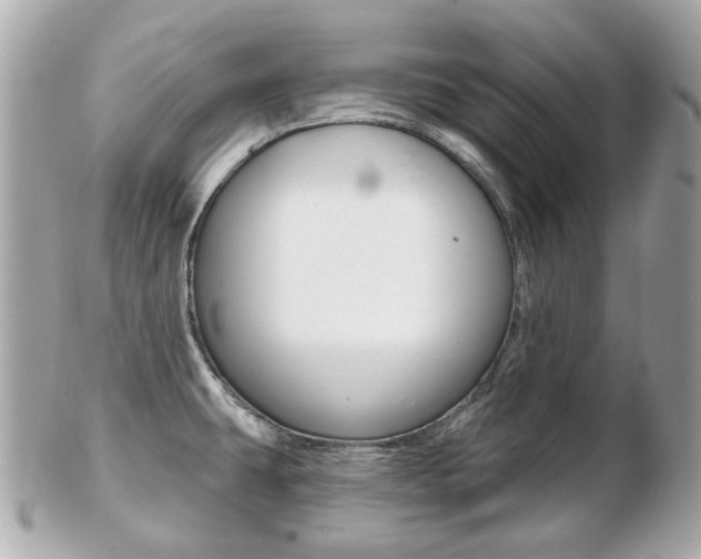 X0000103281431200808291036