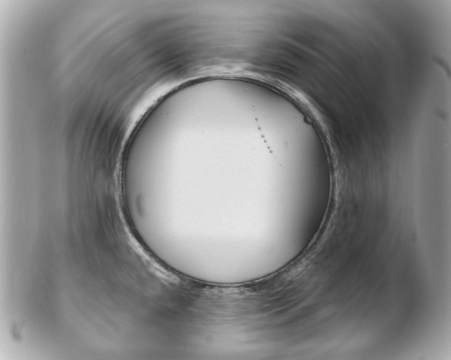 X0000103281432200808291036