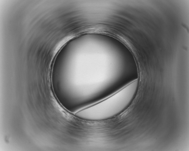 X0000103281434200808291036