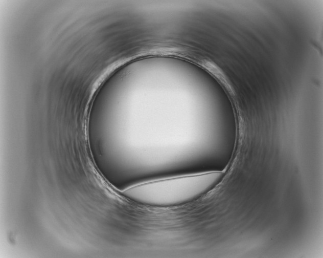 X0000103281436200808291036