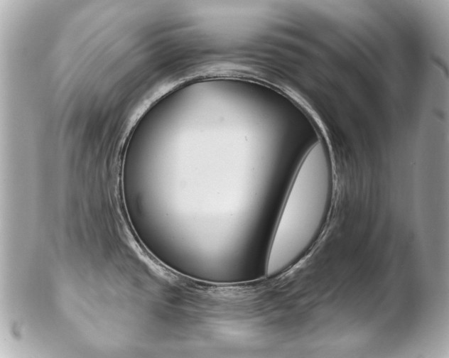 X0000103281437200808291036