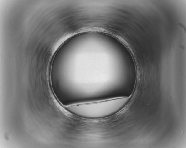 X0000103281438200808291036