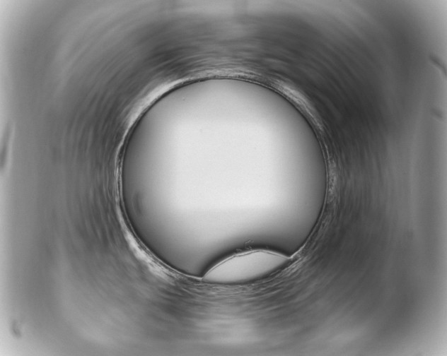 X0000103281439200808291036