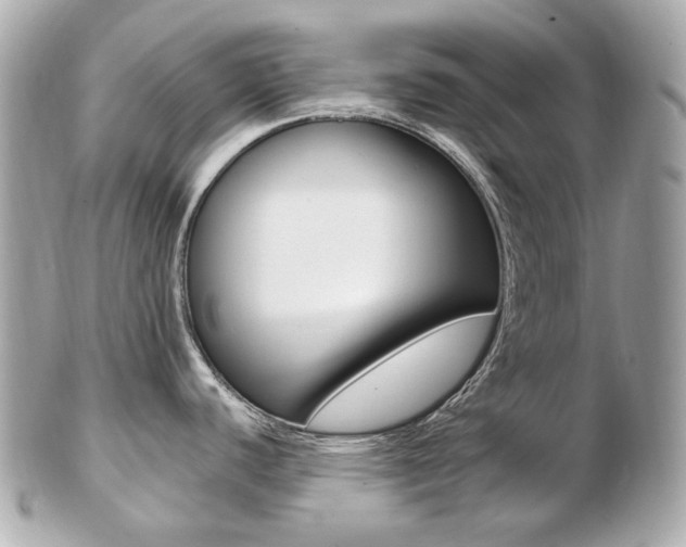 X0000103281440200808291036