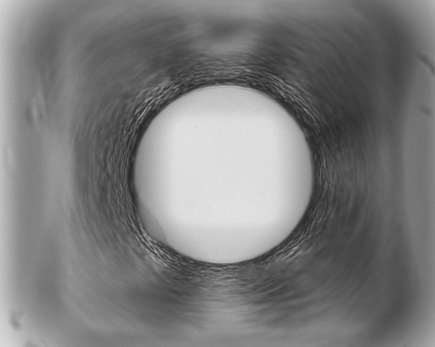 X0000103281441200808291035