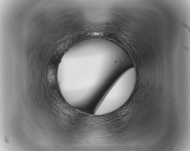 X0000103281442200808291035