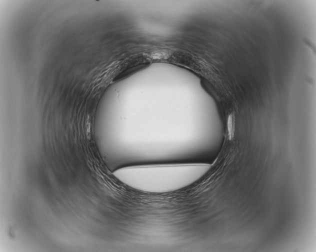 X0000103281443200808291035