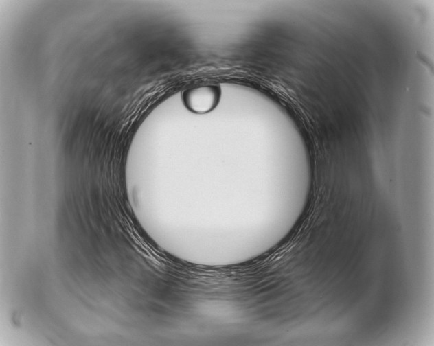 X0000103281444200808291035