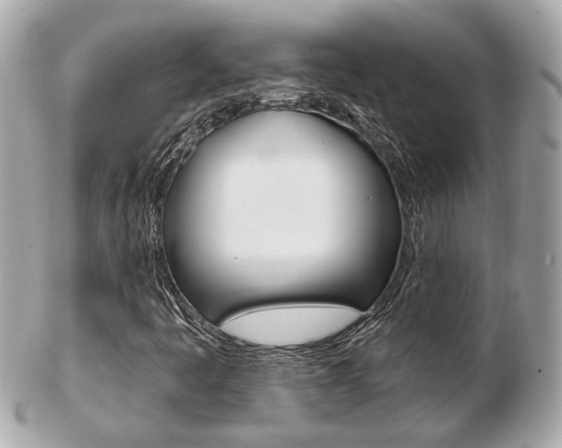 X0000103281445200808291035