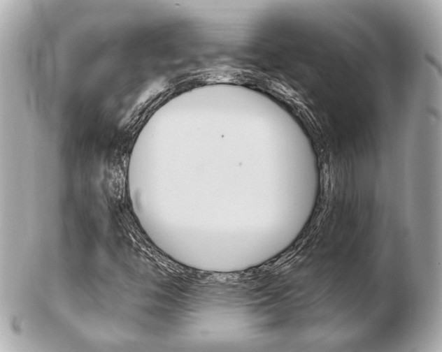 X0000103281446200808291035