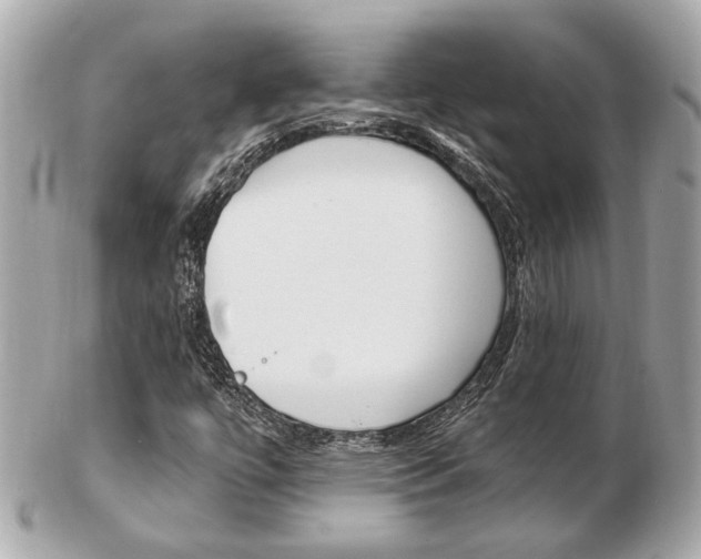 X0000103281447200808291035