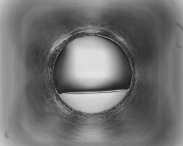 X0000103281448200808291035