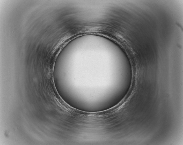 X0000103281449200808291035