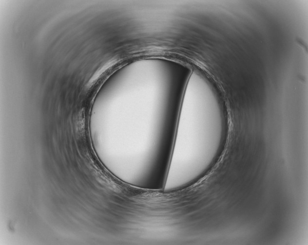 X0000103281450200808291035