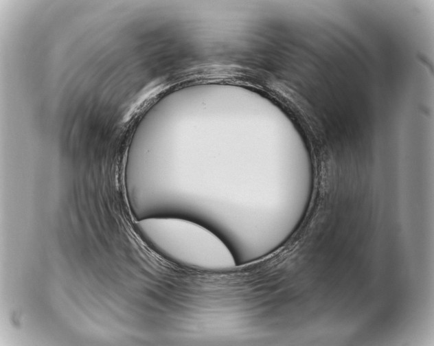 X0000103281451200808291035