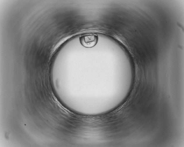 X0000103281452200808291035