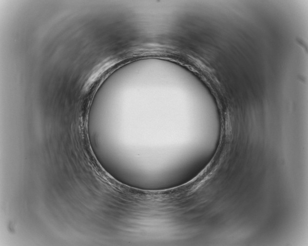 X0000103281453200808291035