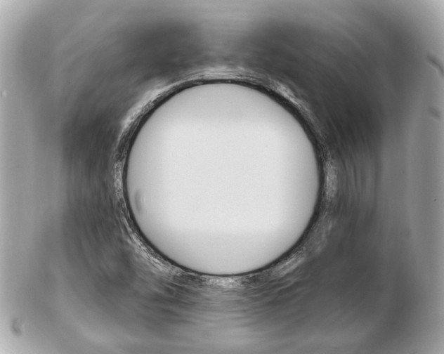 X0000103281454200808291035