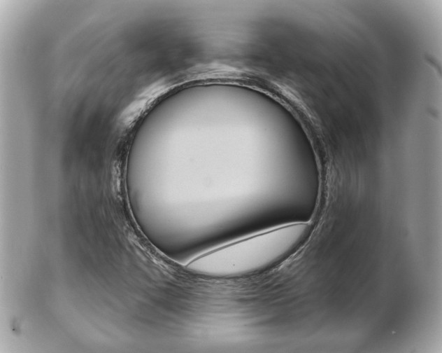 X0000103281455200808291035